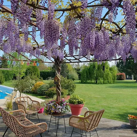 Les Deux Glycines Bed & Breakfast